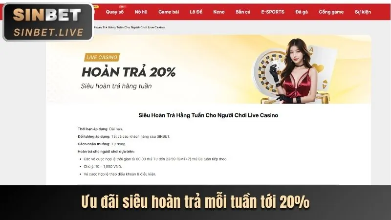 Các chương trình khuyến mãi độc quyền tại WY88